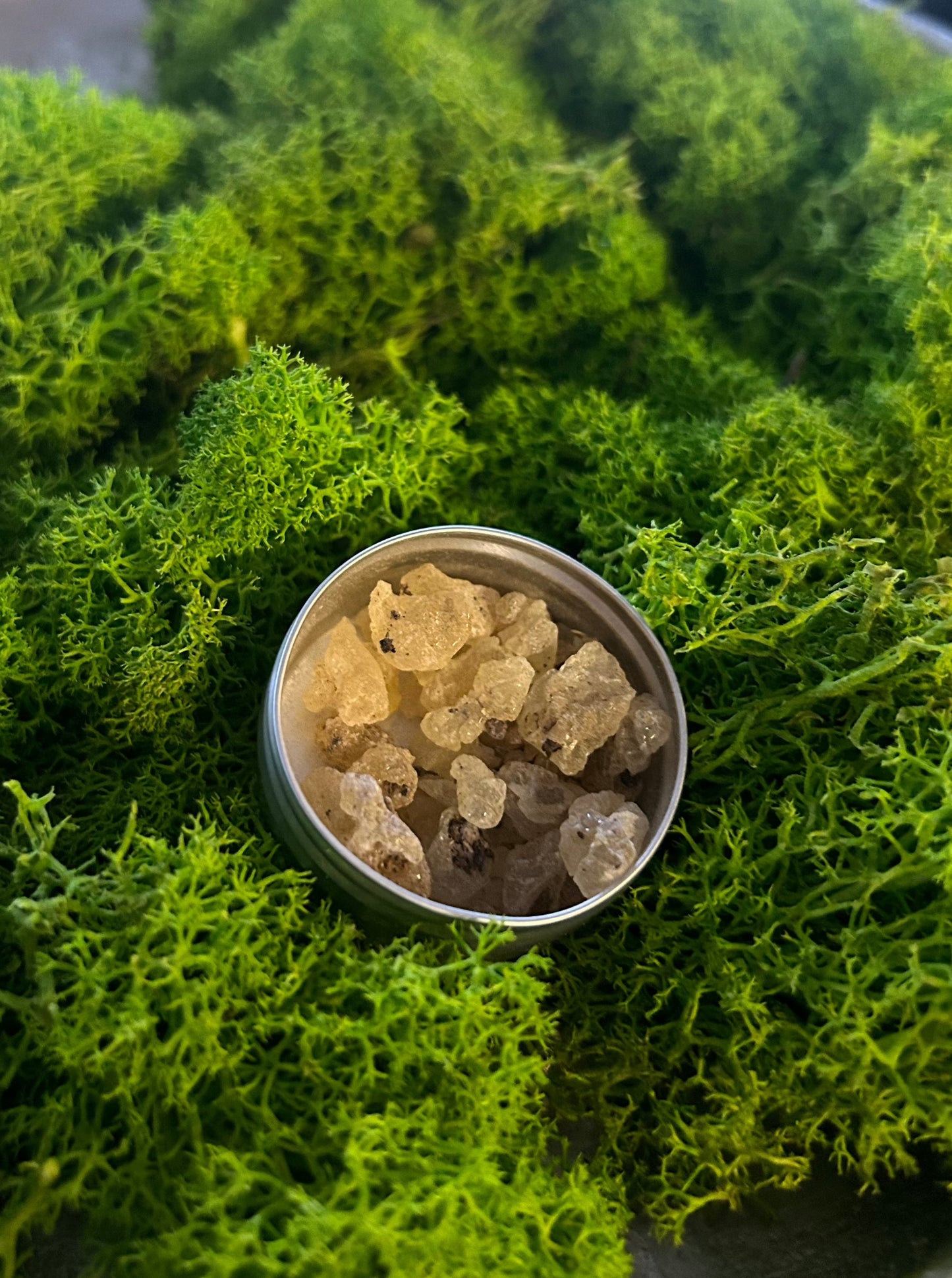 Frankincensas iš Sokotros salos 10 g.