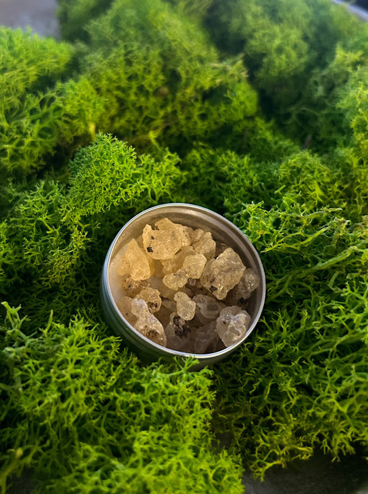 Frankincensas iš Sokotros salos 10 g.