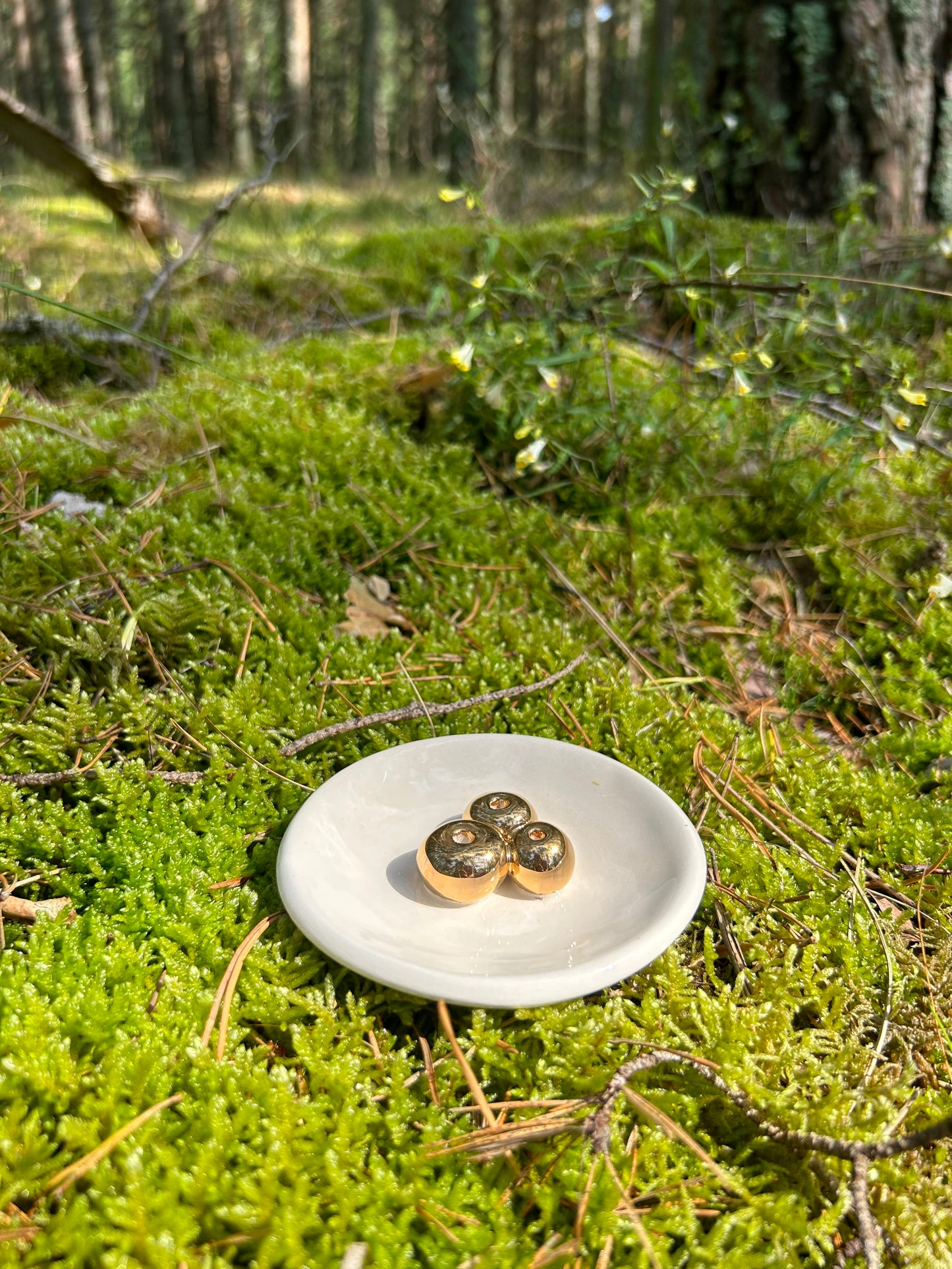 Baltoji. Auksiniai burbuliukai